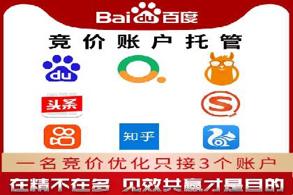 探索专业SEM托管的未来趋势与成功案例